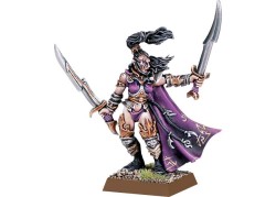 Warhammer Fantasy - Dunkelelfen Hochgeborener mit 2 Handwaffen