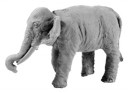 Xyston - Indian Elephant