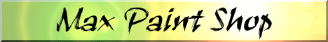 Max Paint Banner