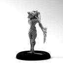 Zenit Miniatures - Recosido