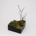 Plinth Country - Swamp Base