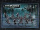 Warhammer 40.000 - Dark Eldar Hagashin