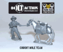 Bolt Action - Chindit Mule Team