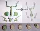 Secret Weapon Miniatures - Skulls & Bones Preview