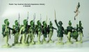 Perry Miniatures - Napoleonic Austrians