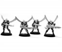 Forgeworld: Eldar Corsairs Heavy