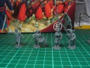 Perry Miniatures - ACW Zouaves