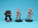 Willy Miniatures - Fantasy Football