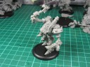 Warmachine - Protektorat von Menoth