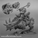 Scibor - Ogre War Rhino Rider1