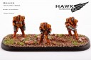 Shaltari Braves