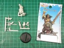 Cool Mini Or Not - Barbarian King