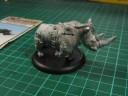 Carnevale - Rhino