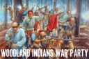 FIW Woodland Indians artwork