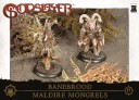 Godslayer_TrooperBox_Banebrood_MaldireMongrels