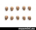 MaxMini_MaleHeads