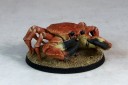 Giant Crab Riesenkrabbe