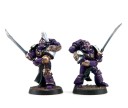 EMPEROR'S CHILDREN LEGION PALATINE BLADES SQUAD 2