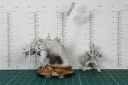 Mierce Miniatures - Kraan Mounted Untain of Baalor