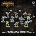 Warmachine Silver Line Stormguard Unit Upgrade