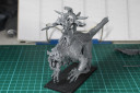 WHFB_CarnoBld21