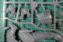 WHFB_CarnoSprueClose1