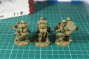 Dust - Steel Guards Assault Squad