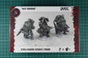 Dust - Steel Guards Assault Squad