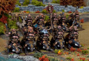 KoW Brokk Riders Zwerge