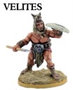 Velites