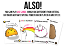 Exploding Kittens Kickstarter 4