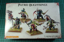 Warhammer Fantasy - Putrid Blightkings