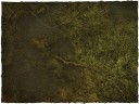 Deep Cut Studio_Wargames Terrain Mat Swamp 3