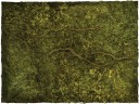 Deep Cut Studio_Wargames Terrain Mat Swamp 4