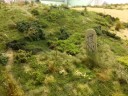 Perry_Miniatures_Peter_Jackson_Diorama_5