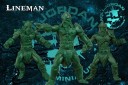 Rolljordan Miniatures_Icelander Fantasy Football Team Indiegogo Kampagne 12