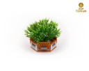 Zen_Terrain_modular_planters_6