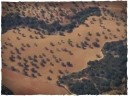 Deep Cut Studio_Wargames Terrain Mat - 4'X6' Aerial Fields Theme 3