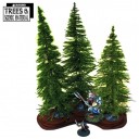 4Ground_3x Mature Fir Trees