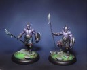 Drakerys_Avaren_Elves_3