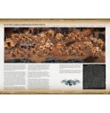 Games Workshop_Warhammer 40.000 War Zone Damocles- Kauyon 3