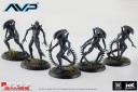 Prodos Games_AVP Alien Infants