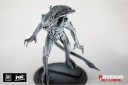 Prodos Games_AVP Alien Royal Guard 1