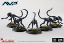 Prodos Games_AVP Alien Stalkers