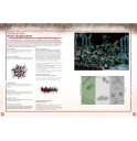 Games Workshop_Warhammer 40.000 Waaagh! Ghazghkull - A Codex- Orks Supplement (Englisch) 2