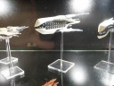 Hawk_Open_Day_Dropfleet_7