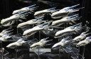 Salute_2016_Hawk_Dropfleet_17