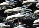 Salute_2016_Hawk_Dropfleet_18