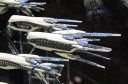 Salute_2016_Hawk_Dropfleet_19