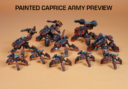 DP9_Heavy_Gear_Caprice_Army_Preview_1